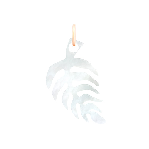 Palm