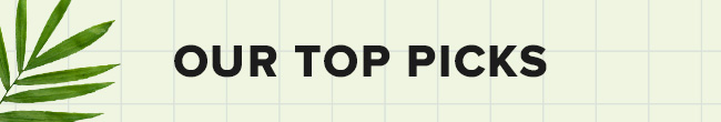 Our top picks