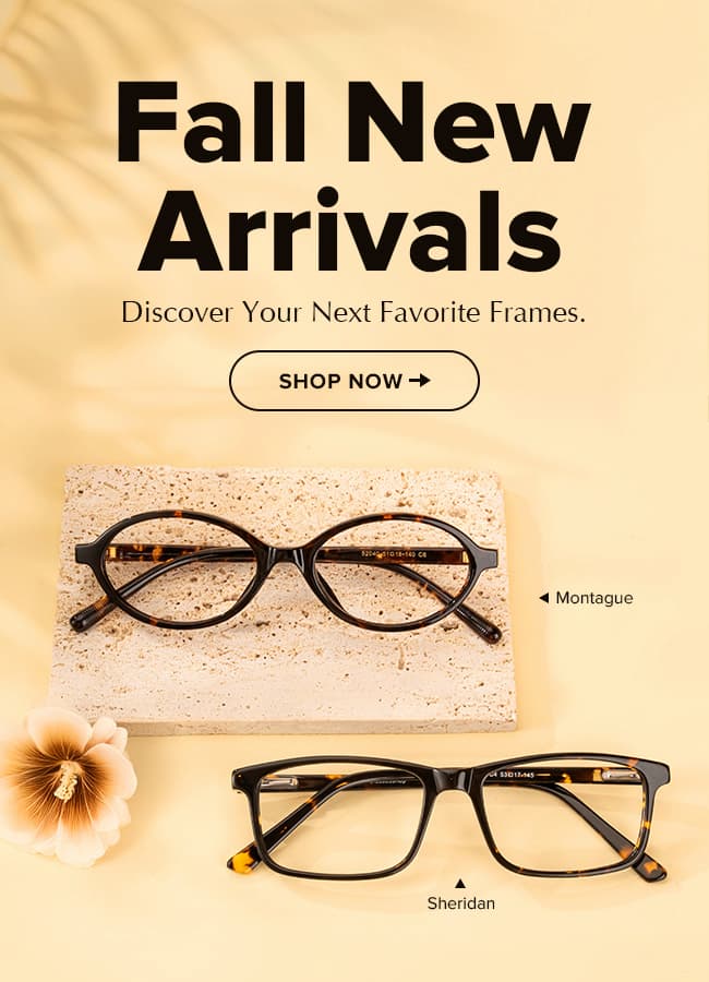 Fall new arrivals