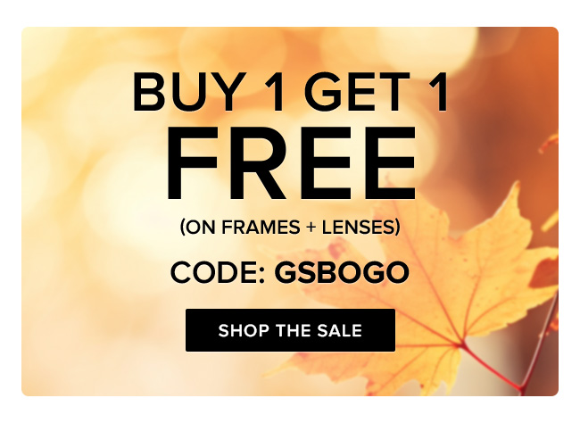 Frames+Lenses