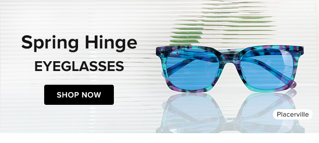 Spring Hinge Eyeglasses