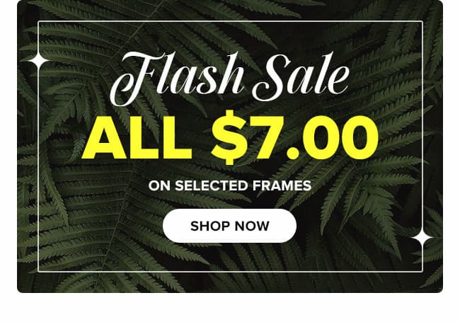 Flash