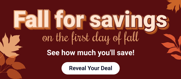 Buy one pair, get one FREE | Code: BOGOFREE