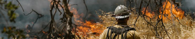 Wildfire Prevention Image