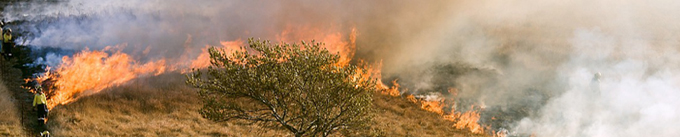 Wildfire Prevention Image