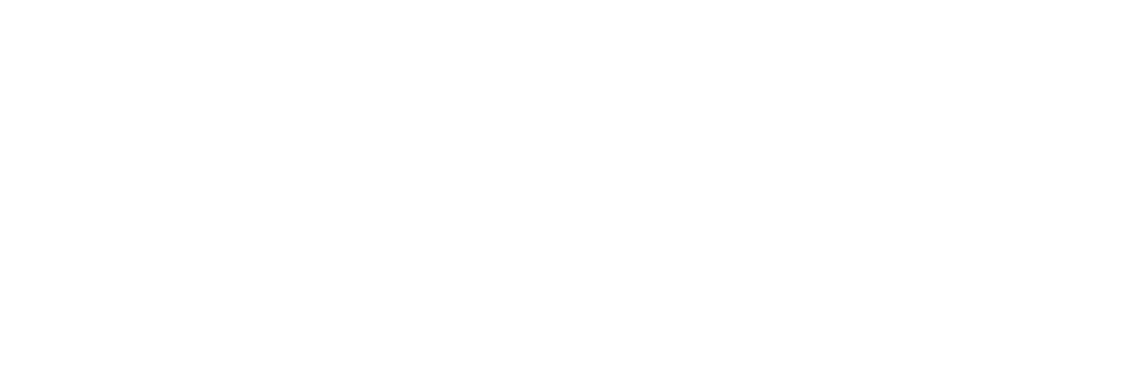 FLIR logo