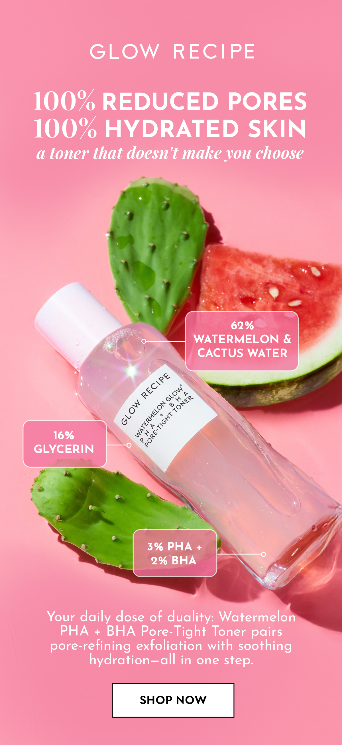 Shop Watermelon Toner