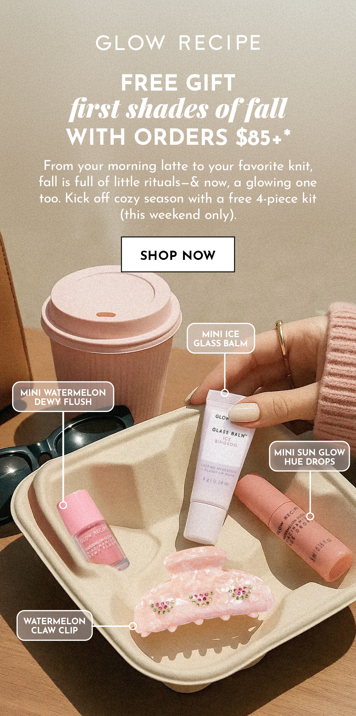 Shop Now