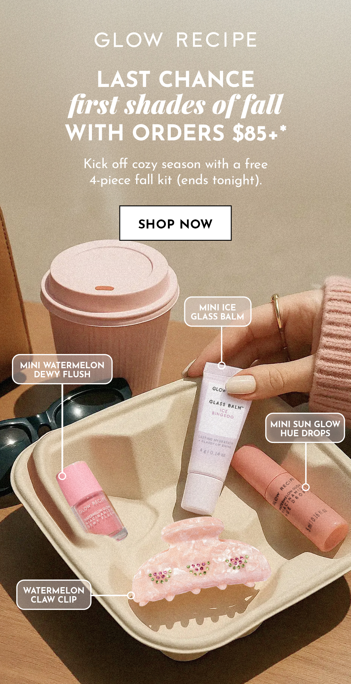 Shop Now