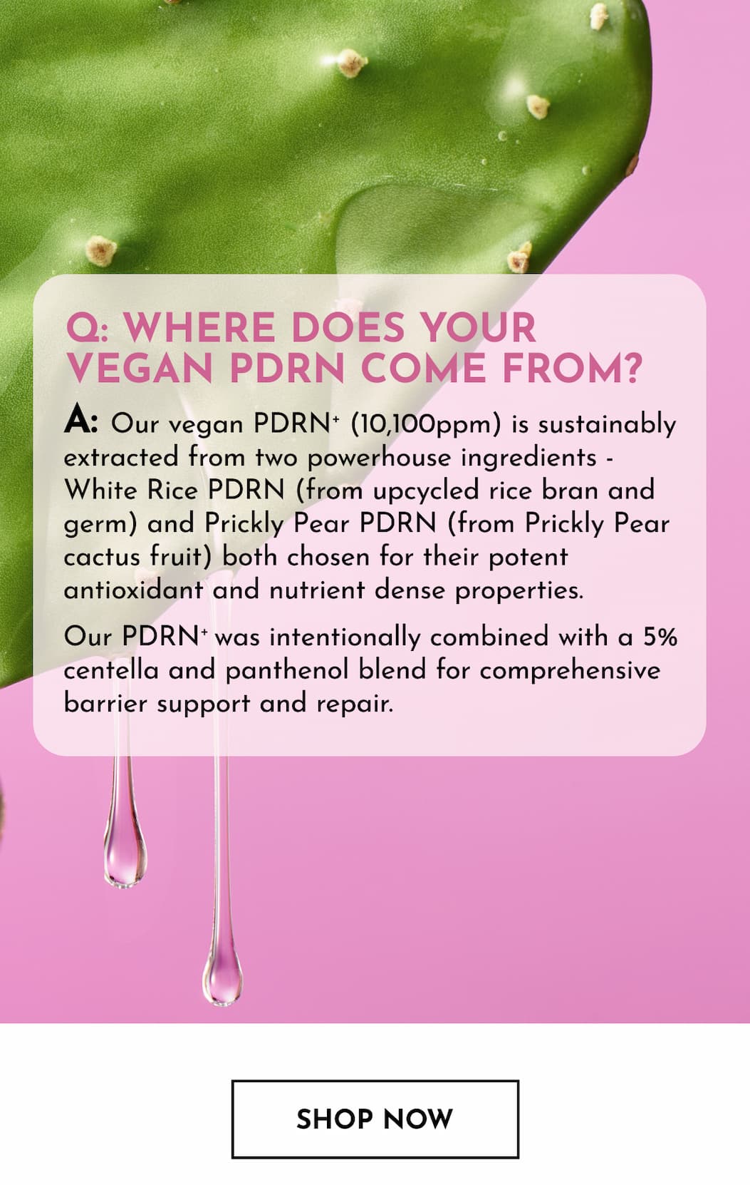 Vegan PDRN+ Explained