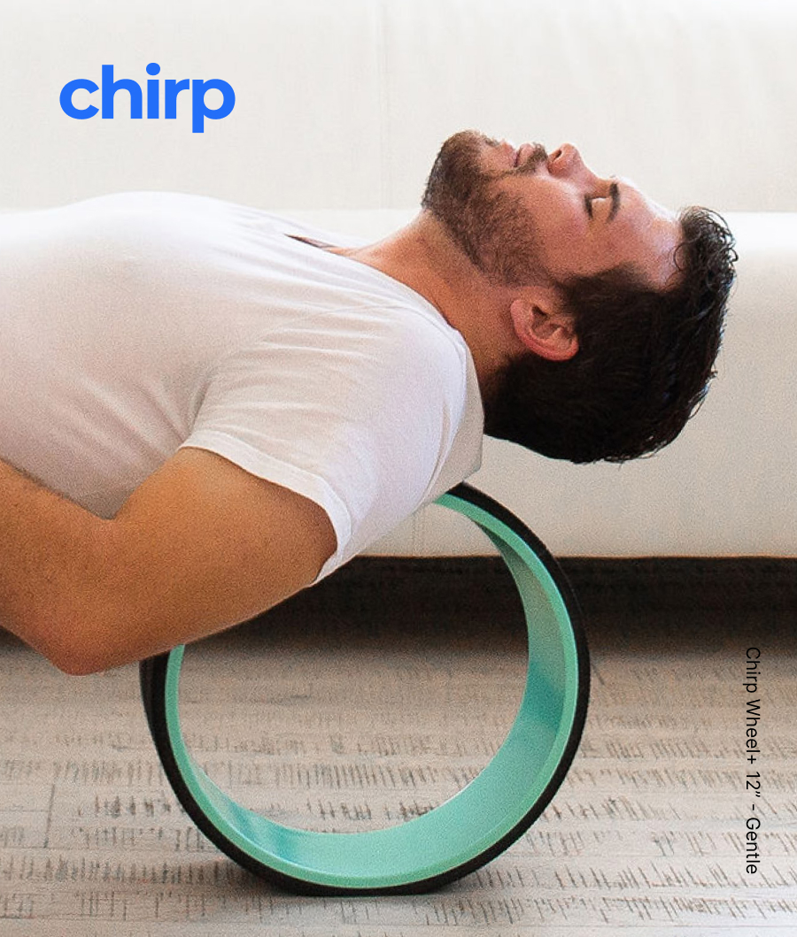 Chirp | Chirp Wheel+ 12'' - Gentle