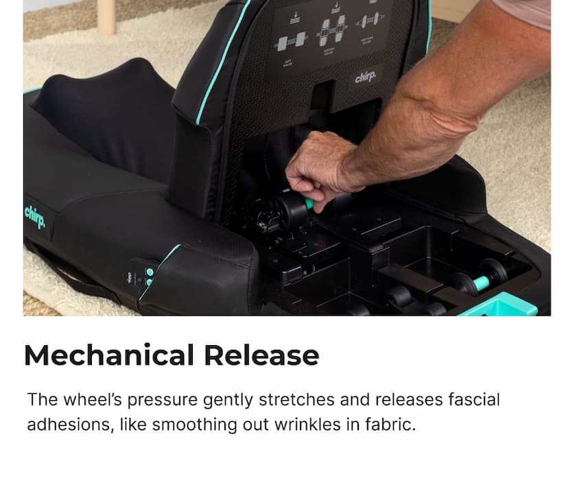 Mechanical Release | The wheel's pressure gently stretches and releases fascial adhesion, like smoothing out wrinkles in fabric.