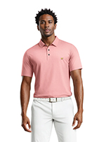 Short Sleeve Solid Texture Polo