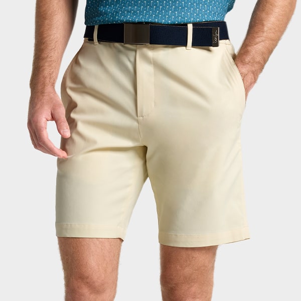 &nbsp;