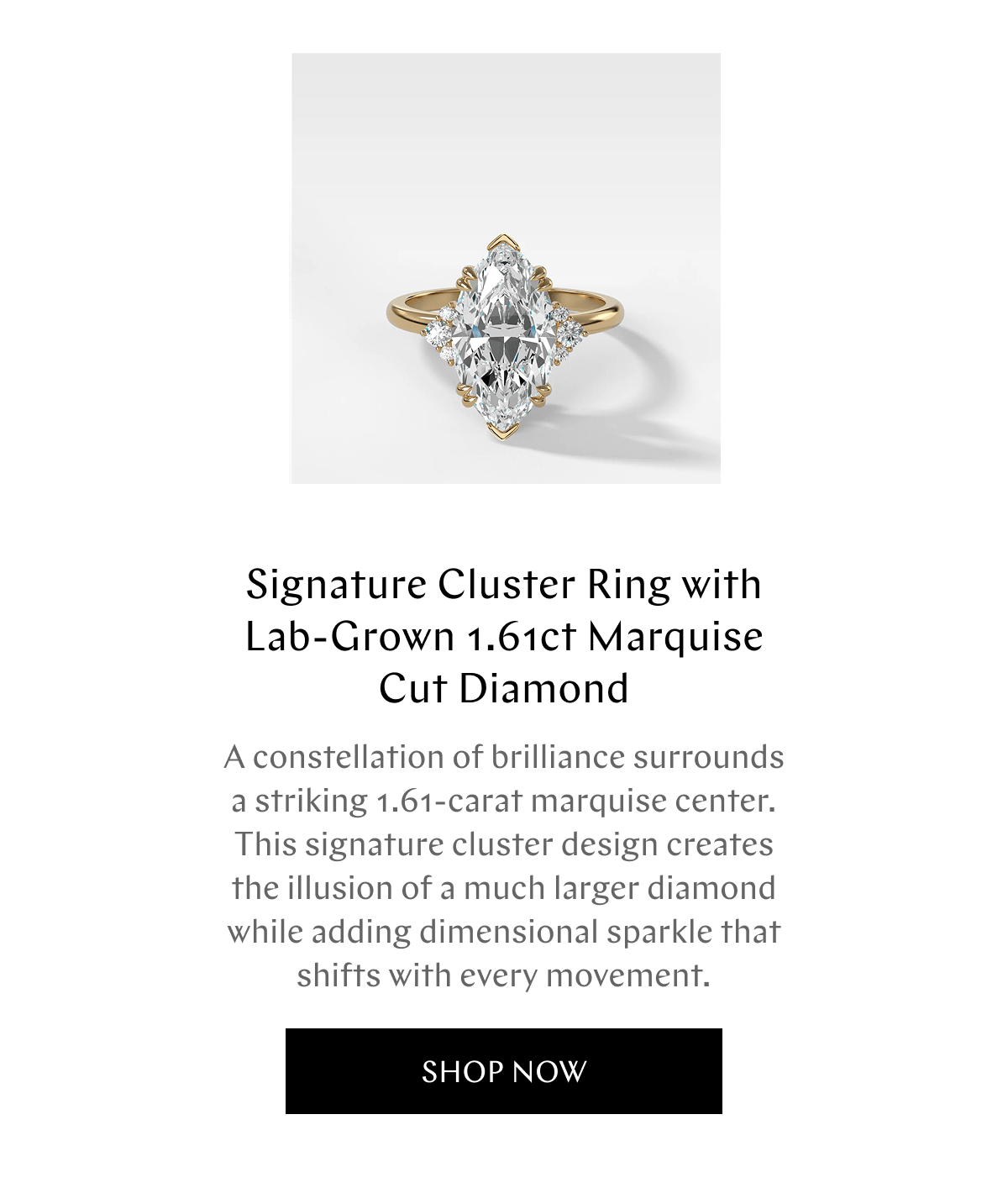 GOODSTONE - Shop Now