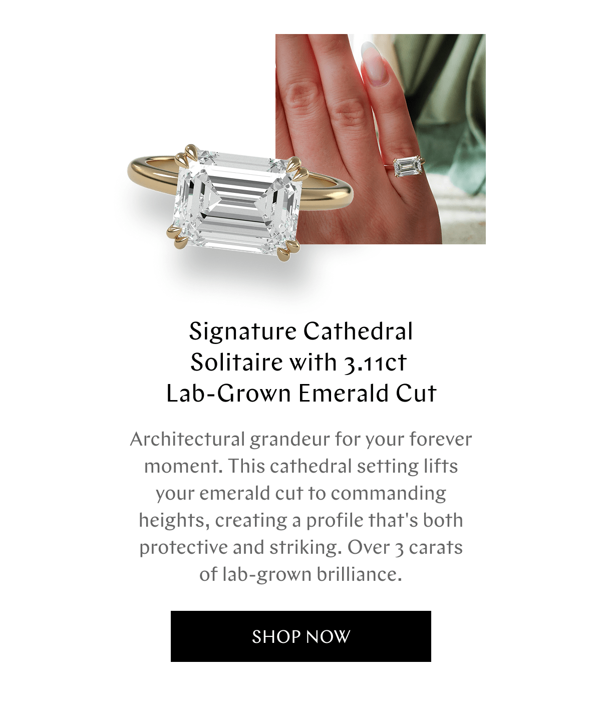 GOODSTONE - Shop Now