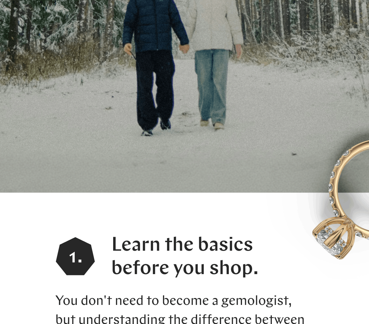 GOODSTONE - Your Winter Proposal Playbook