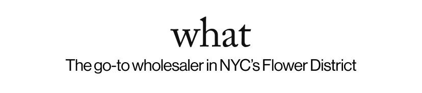 what - The go-to wholesaler in NYC’s Flower District