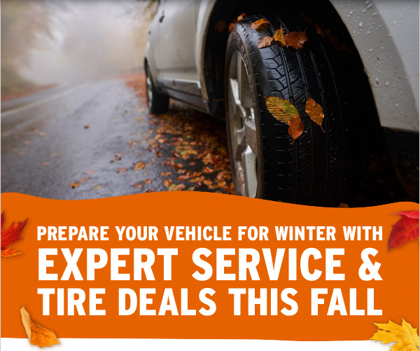 Fall Savings