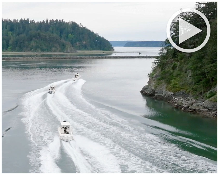 Three Grady-White boats running along the Pacific Northwest coastline