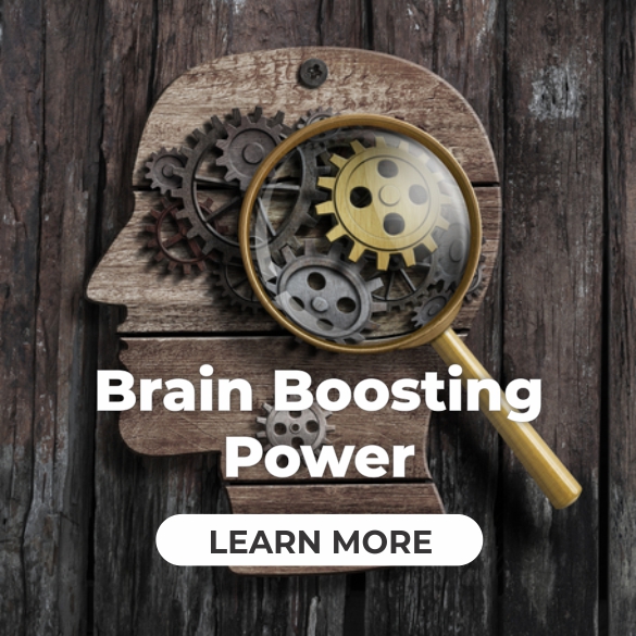 Brain Boosting Power of Animal Protein