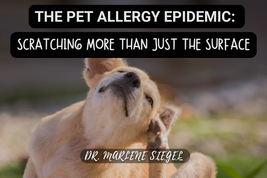 Pet Food Feature