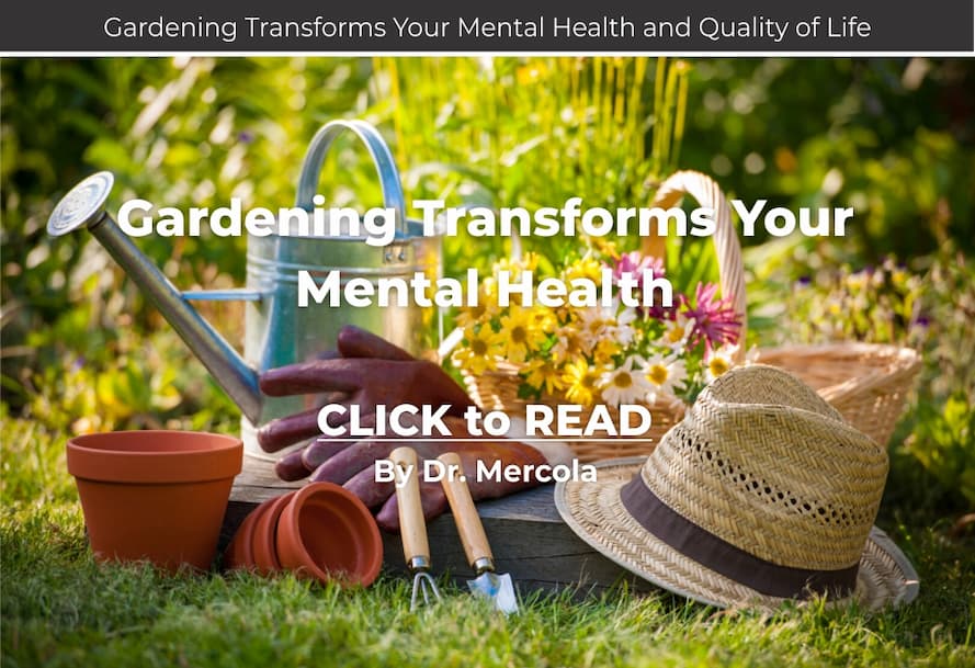 Mercola, Gardening Benefits Health
