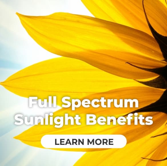 full spectrum sunlight, sunflower