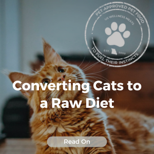 Converting Cats to a Raw Diet