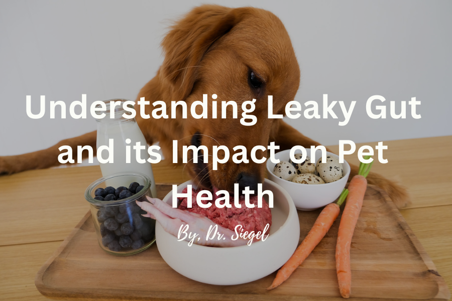 Pet Food Feature