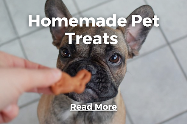 Pet Food Feature
