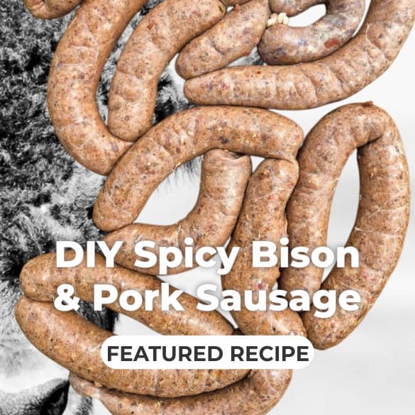 Daniel Moran, DIY Bison Sausage