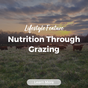LIfestyle Feature - Metabolic Nutrition: How Rotational Grazing Influences Nutrtitional Value of Meat 