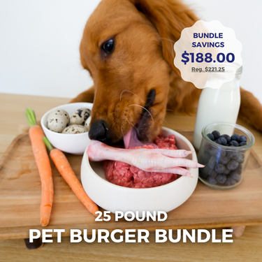 Pet Burger Bundle
