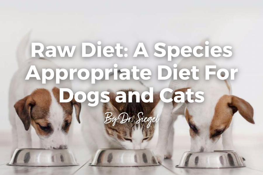 Raw Diet - Cats & Dogs