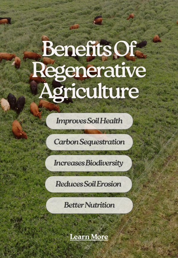 Regenerative Agriculture