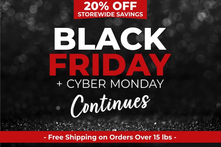 Black Friday Sale