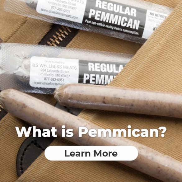 pemmican