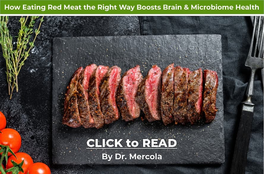 Mercola, Red Meat, Gut Health