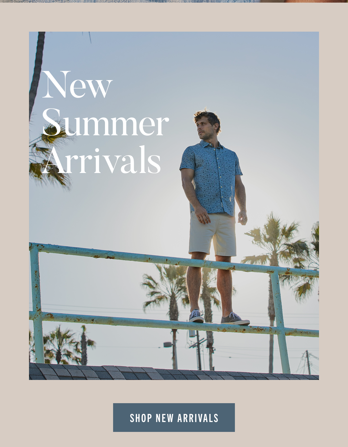 New Arrivals 