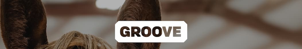 Groove Logo