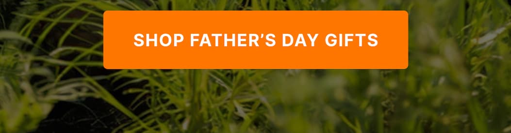 SHOP FATHER'S DAY GIFTS