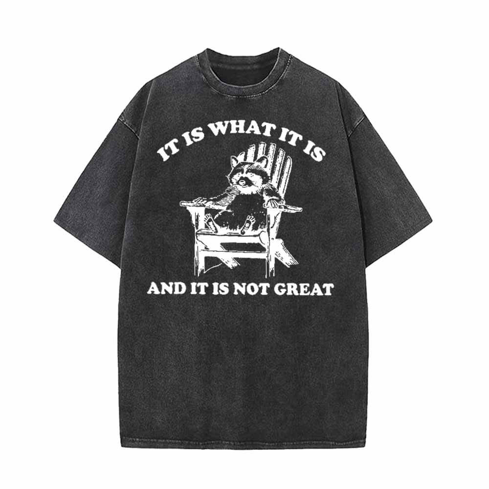 Image of It Is What It Is Raccoon Print Vintage Washed T-shirt