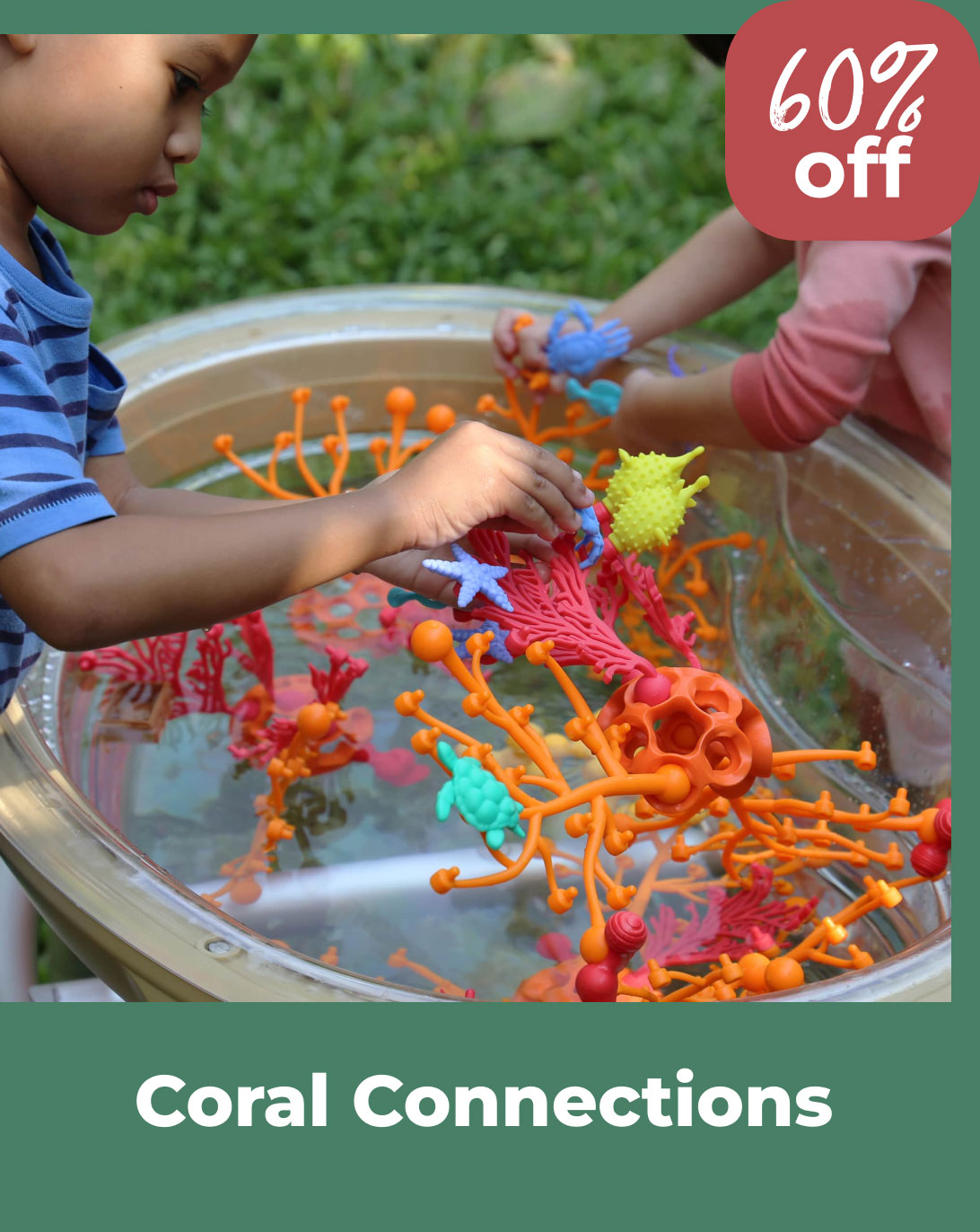 Coral Connections
