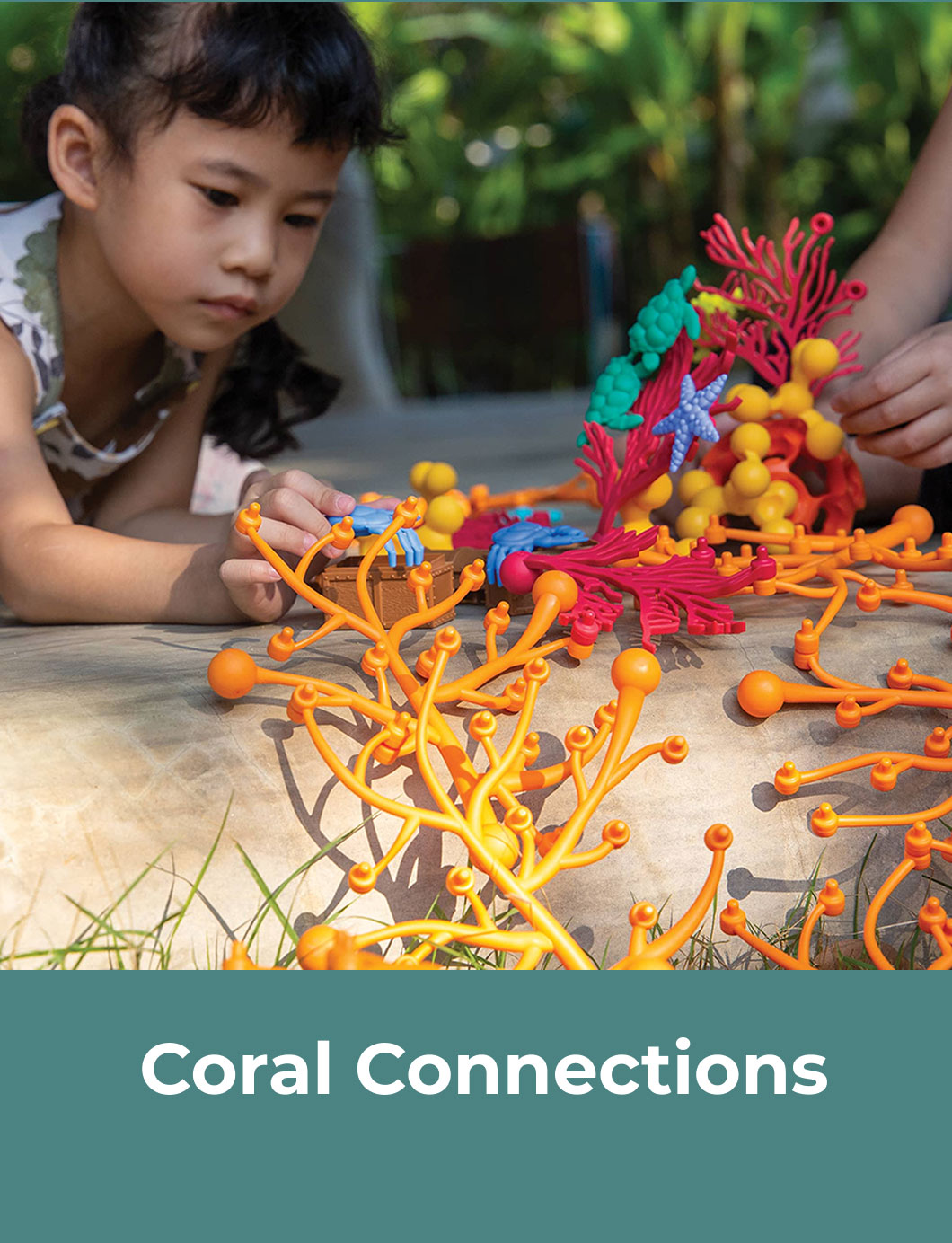 Coral Connections