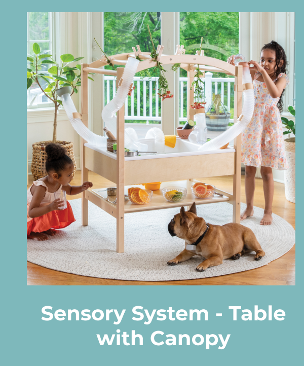 Sensory System - Table with Canopy