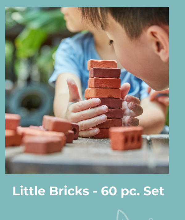 Little Bricks - 60 pc. Set
