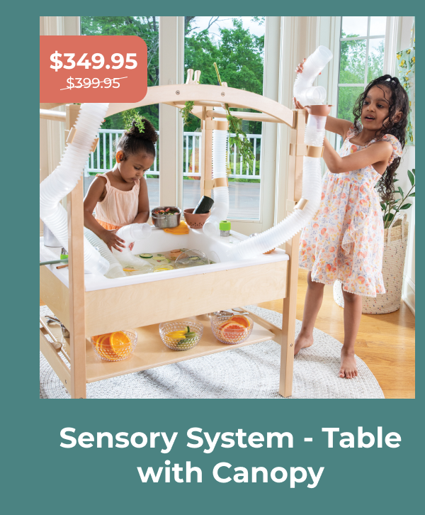 Sensory System - Table with Canopy