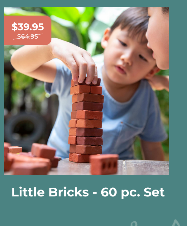 Little Bricks - 60 pc. Set
