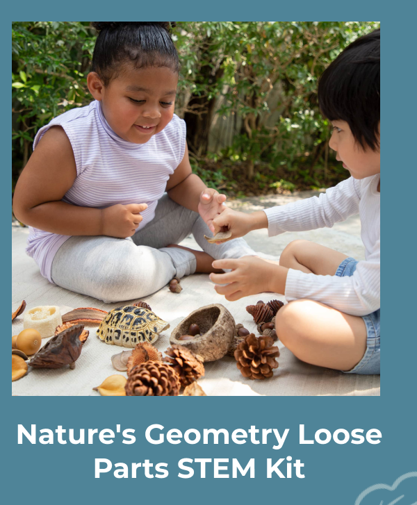 Nature's Geometry Loose Parts STEM Kit